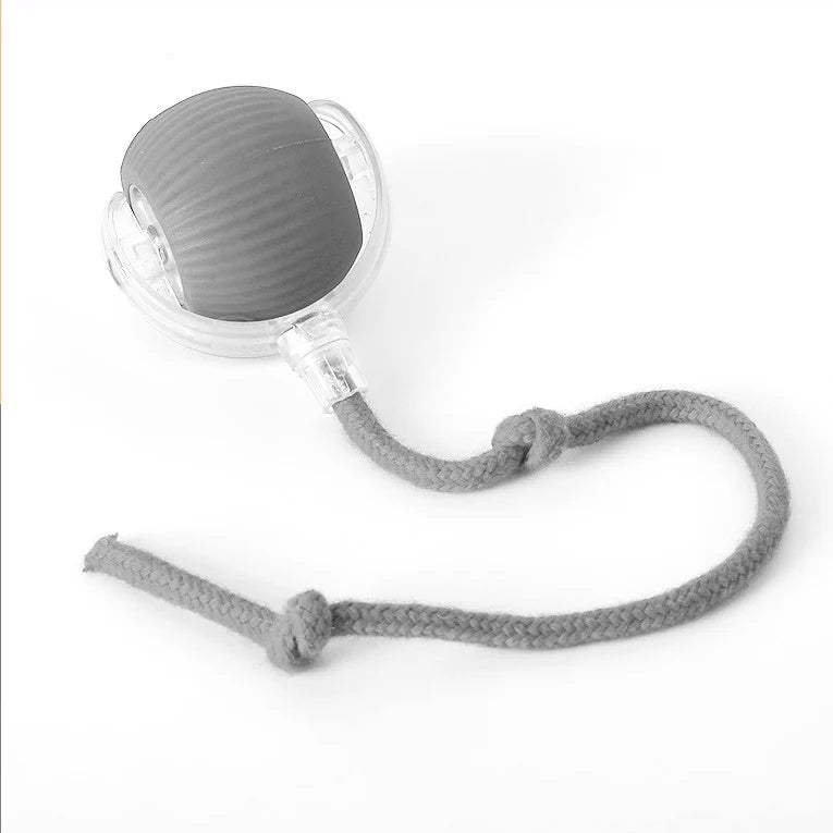 Active Rolling Ball with Tail for Cats